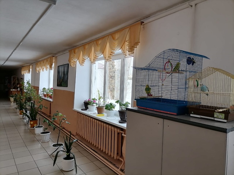 Школьный коридор Школьный коридор