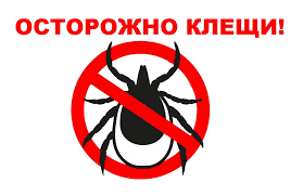 УКУС КЛЕЩА-НА СКОЛЬКО ЭТО ОПАСНО?!.